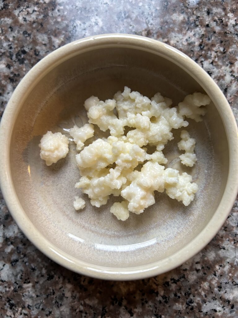 Kefir grains in a small bowl.
