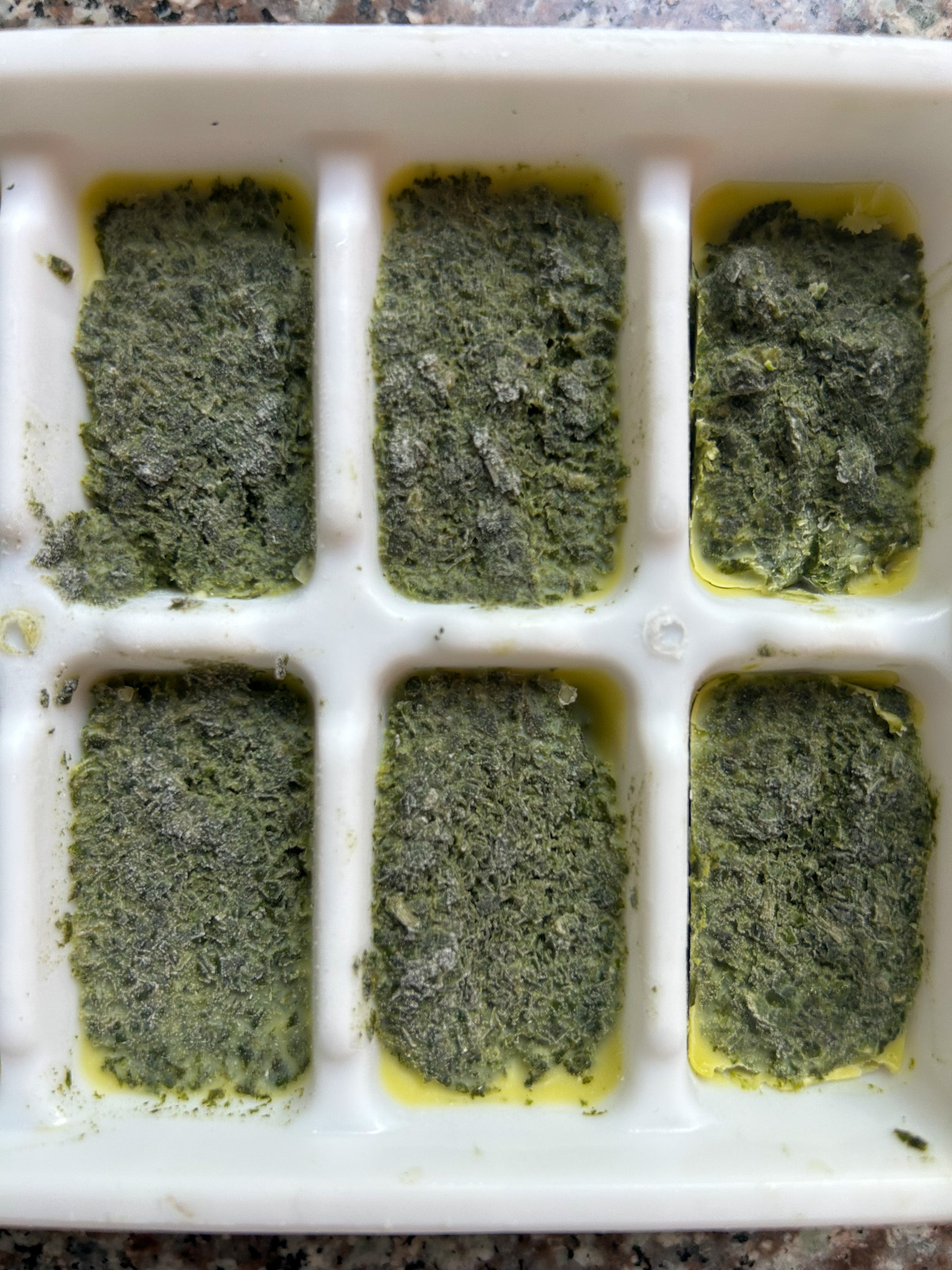 Frozen chopped basil with olive oil in ice cube tray.