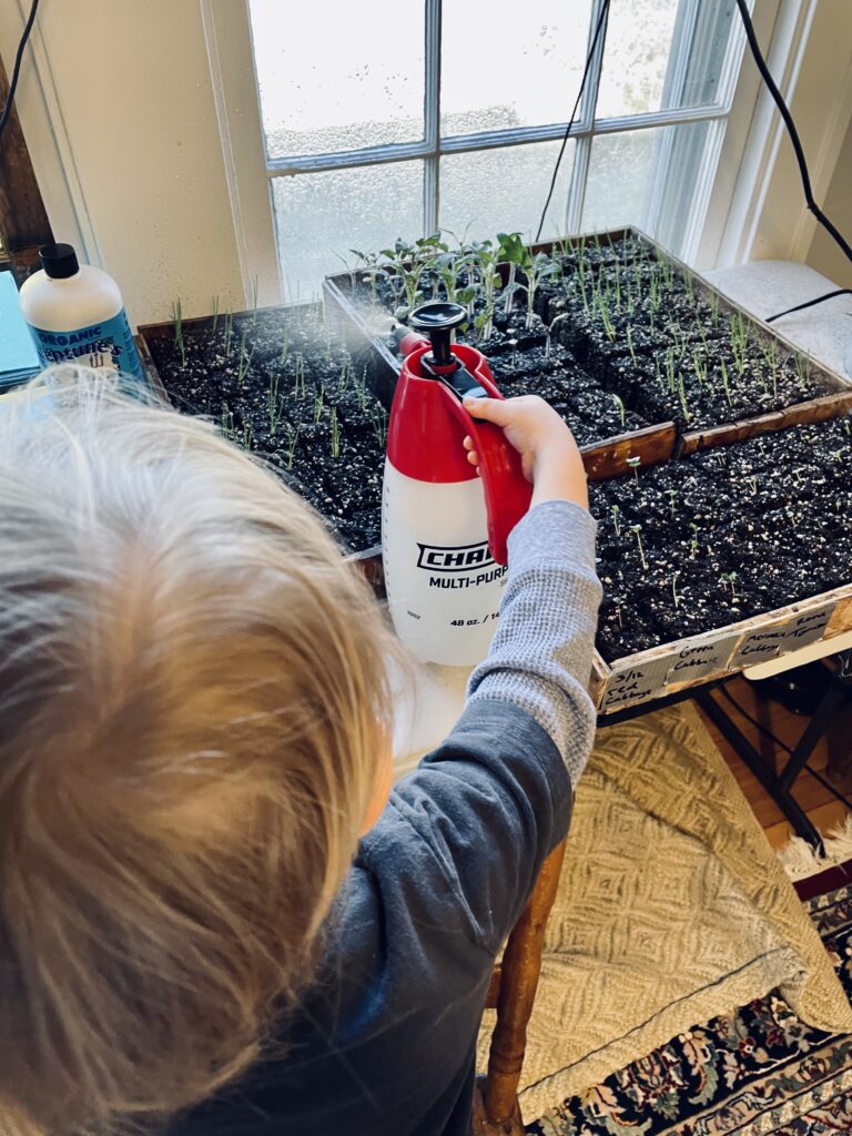 Child watering vegetable seedlings in soil block.

water hitting window