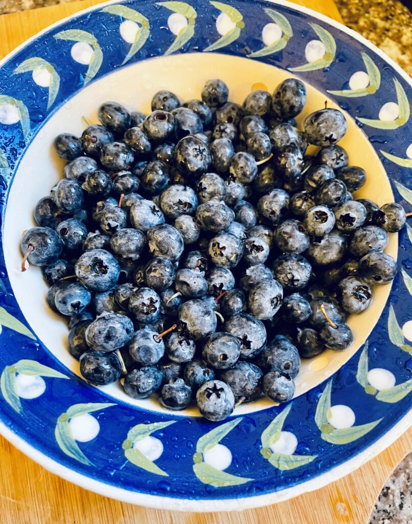 Bowl of Blueberries